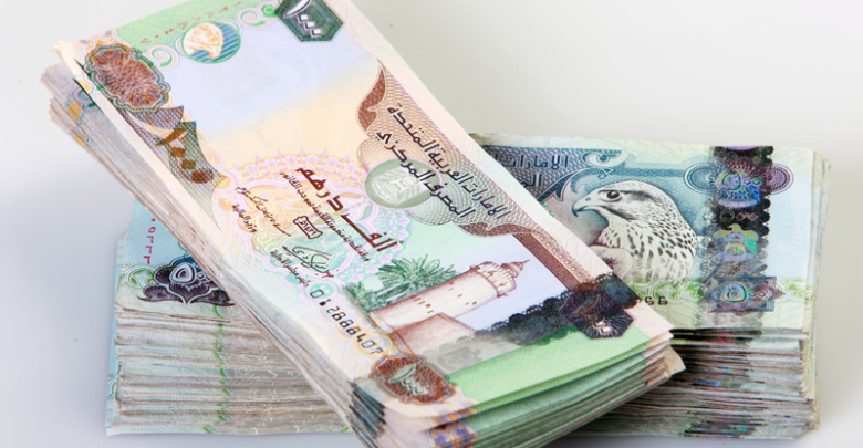 الدرهم الاماراتي