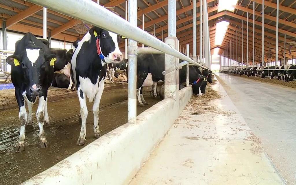 وزارة الزراعة