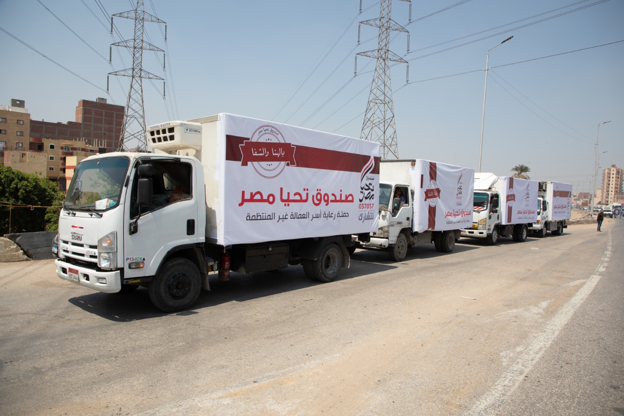 صندوق تحيا مصر