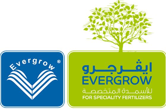 قرض إيفرجرو