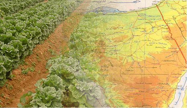 تنمية سيناء