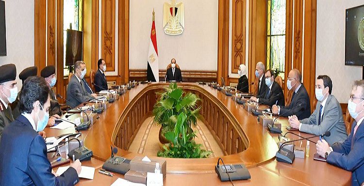 السيسي خلال لقائه رئيس جريفولز الإسبانية وعدد من المسئوليين