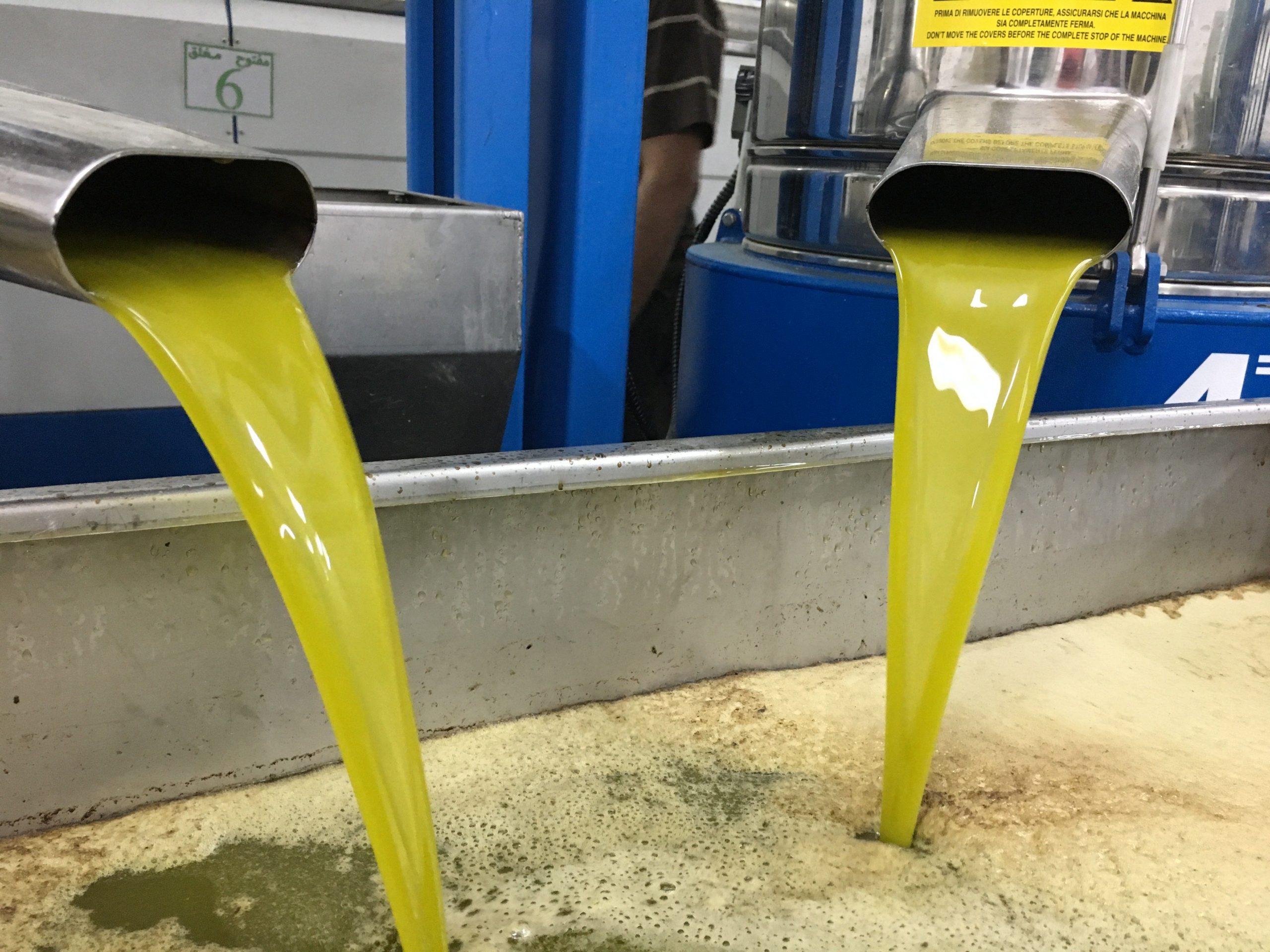 أسعار الزيت التمويني