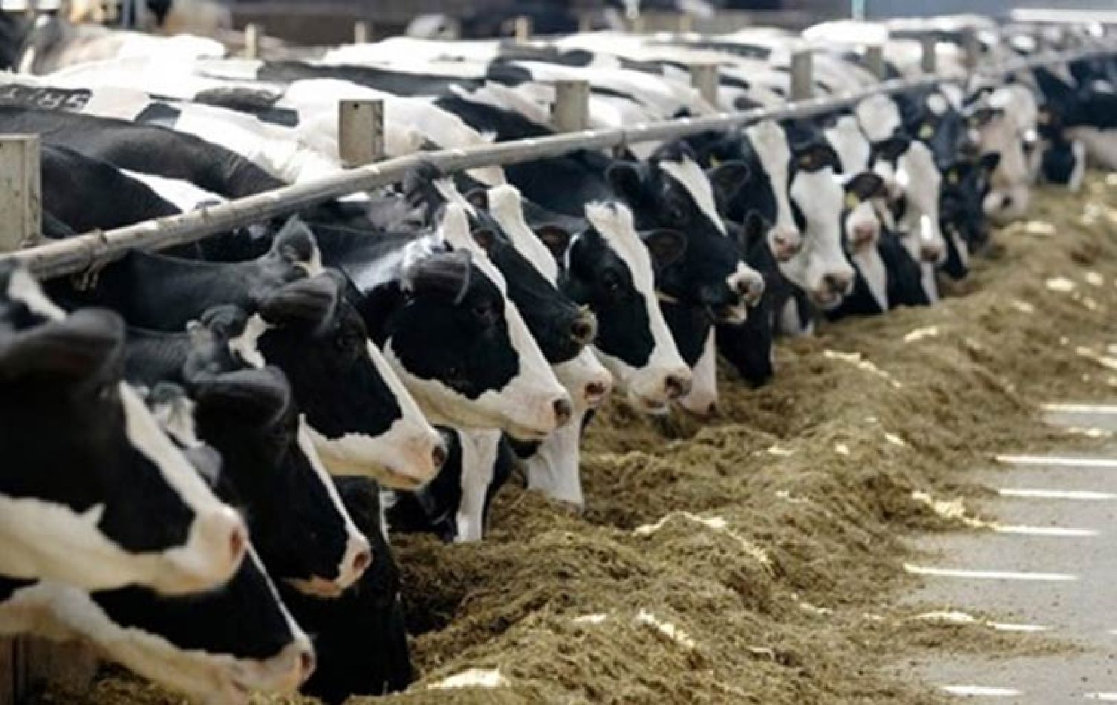 وزارة التموين