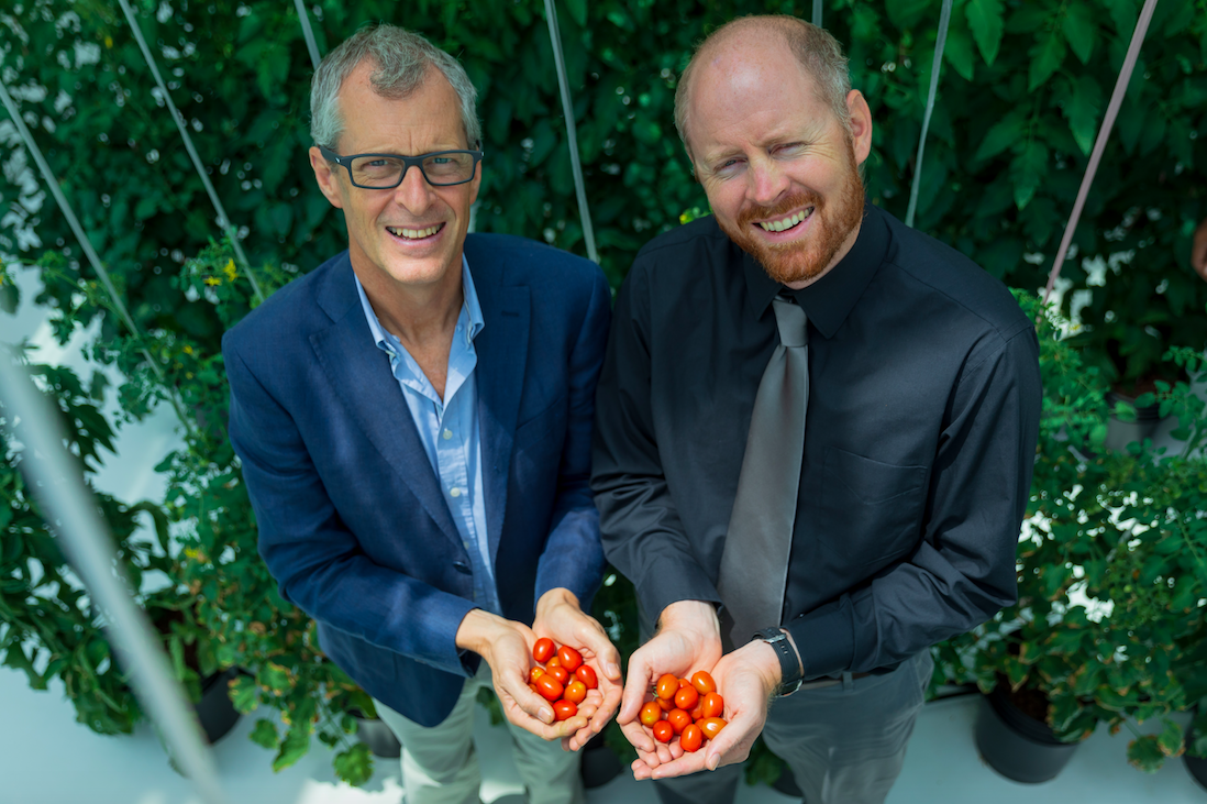 مزارع البحر الأحمر