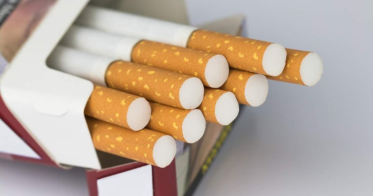 رخصة السجائر