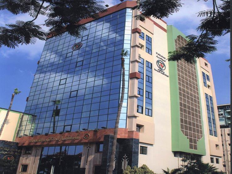 شمال الدلتا لتوزيع الكهرباء: 1.2 مليار جنيه استثمارات تطوير الشبكة بالدقهلية في 7 سنوات