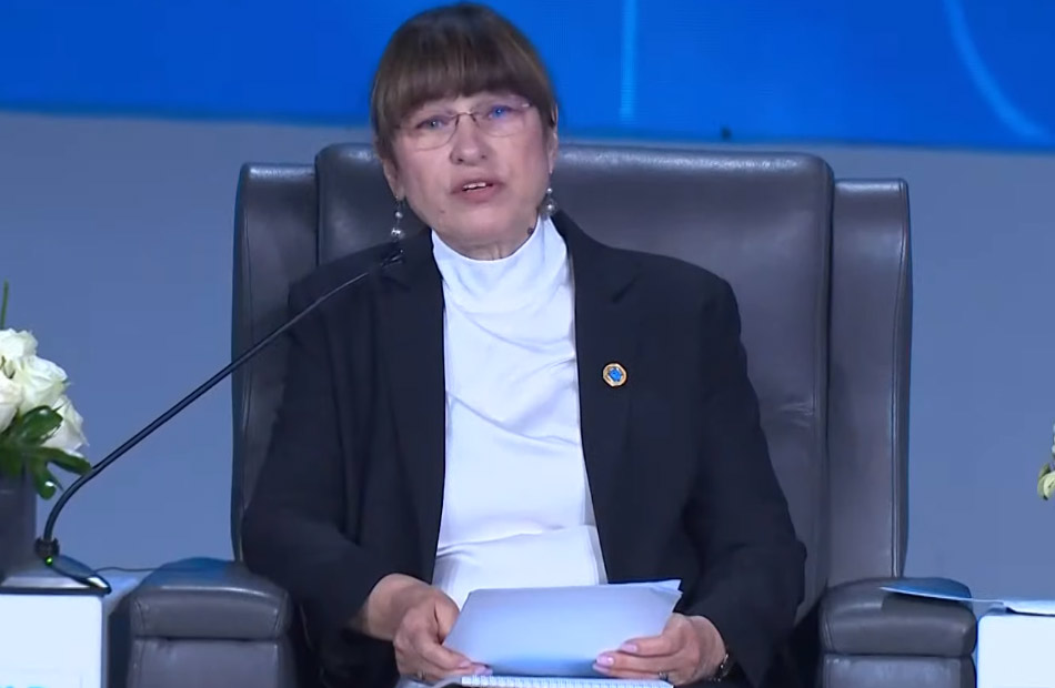 الممثل المقيم للأمم المتحدة بمصر