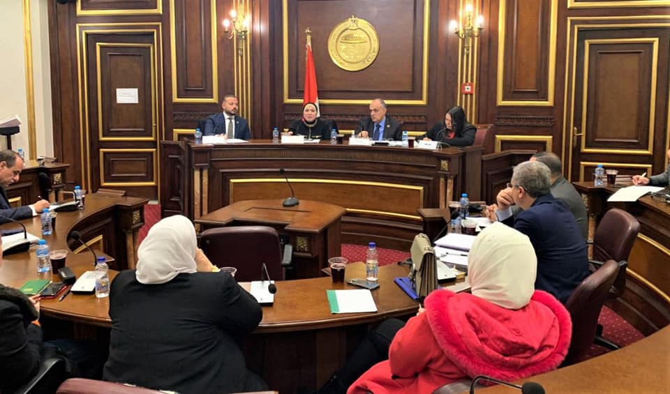 نيفين جامع خلال مشاركتها في جلسة لجنة المشروعات الصغيرة والمتوسطة بمجلس النواب