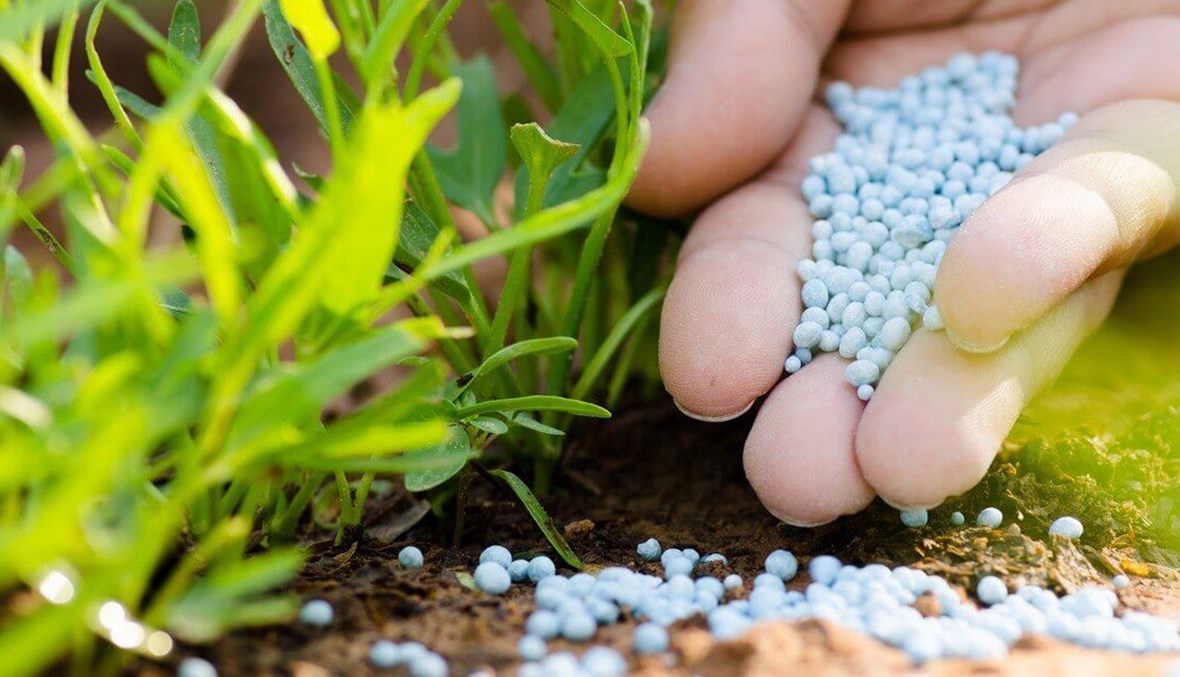 أسمدة_ تعبيرية