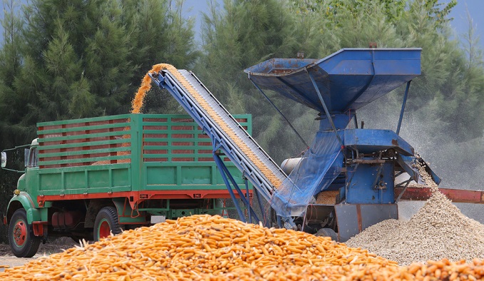 صناعة الأعلاف