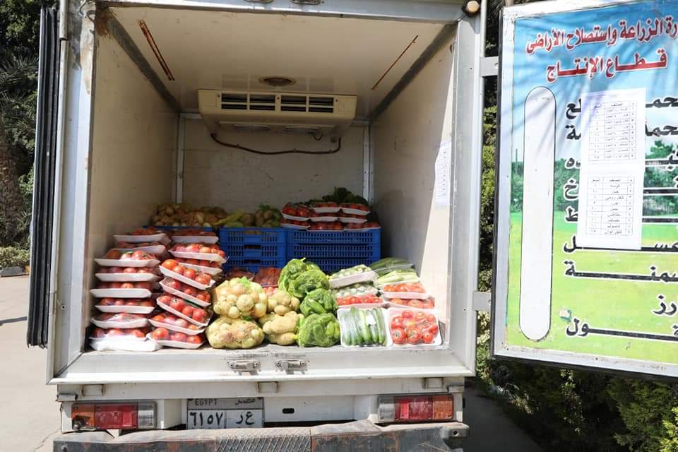 وزارة الزراعة تطرح طماطم طازجة بسعر ١٠ جنيهات للكيلو