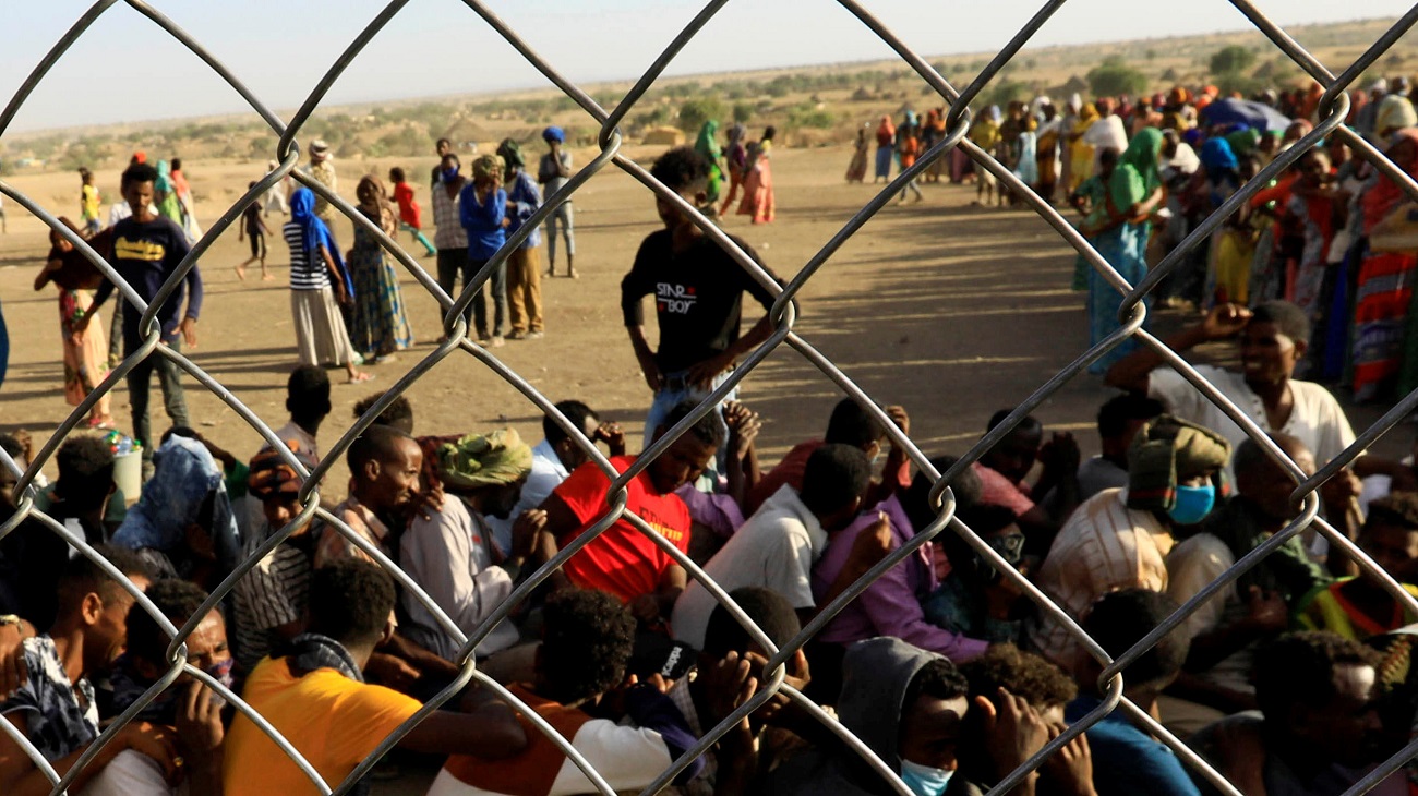 شركات مصرية