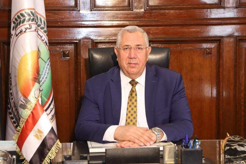 وزارة الزراعة تراجع أسعار البيض بالبورصة.. وتطرحه بمنافذها بأسعار مخفضة