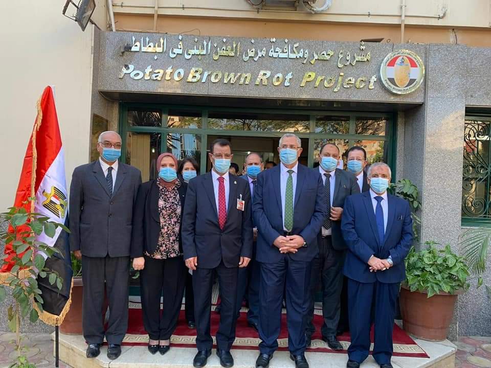 وزارة الزراعة: تجديد الاعتماد الدولي لمعامل مكافحة «العفن البني» بالبطاطس