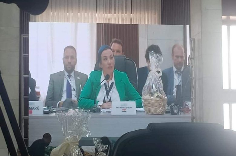 وزيرة البيئة: التعاون البناء مع الشركاء سيساعد على دفع وتيرة العمل المناخي
