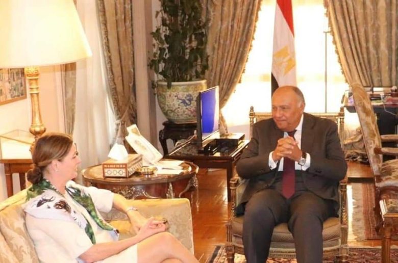 وزير الخارجي: مهتمون بتيسير تدفقات الاستثمارات البريطانية بالقطاعات الاقتصادية