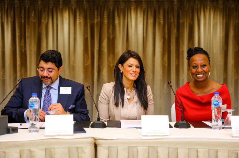 وزيرة التعاون الدولي