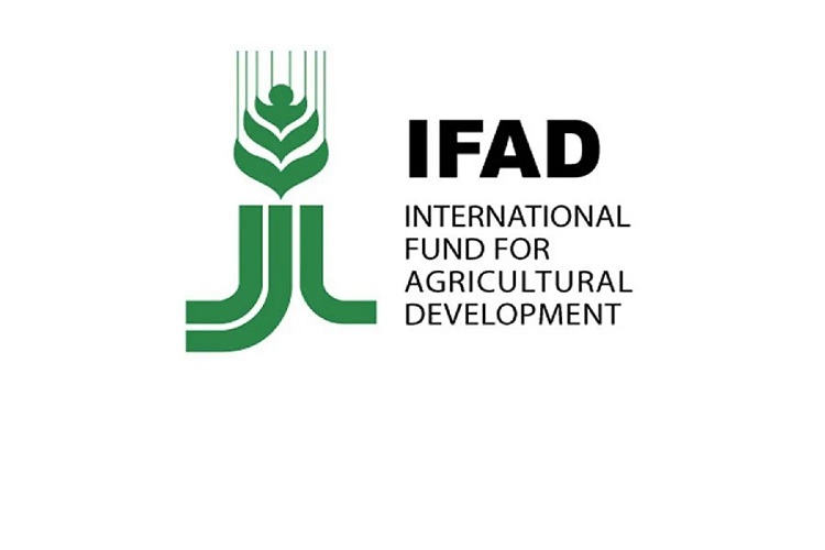 الصندوق الدولي للتنمية الزراعية