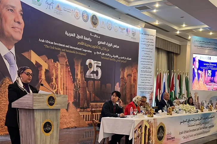 سالى سعدة رئيس المكتب الفني بجهاز تنمية المشروعات