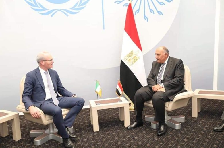 وزير الخارجية يؤكد أهمية رفع الشركاء الدوليين اسهاماتهم المادية لتوفير تمويل المناخ