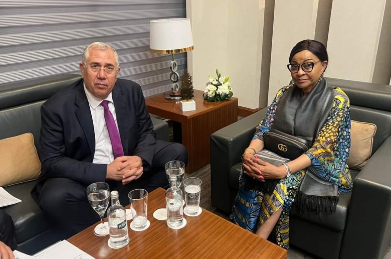 وزير الزراعة يبحث سبل تنمية قطاع الزراعة بالقارة الإفريقية 