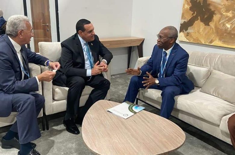 وزير التنمية المحلية: توجيهات رئاسية بدعم العلاقات مع الدول الإفريقية