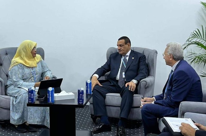 وزير التنمية المحلية يلتقي المديرة التنفيذية لبرنامج الأمم المتحدة للمستوطنات البشرية