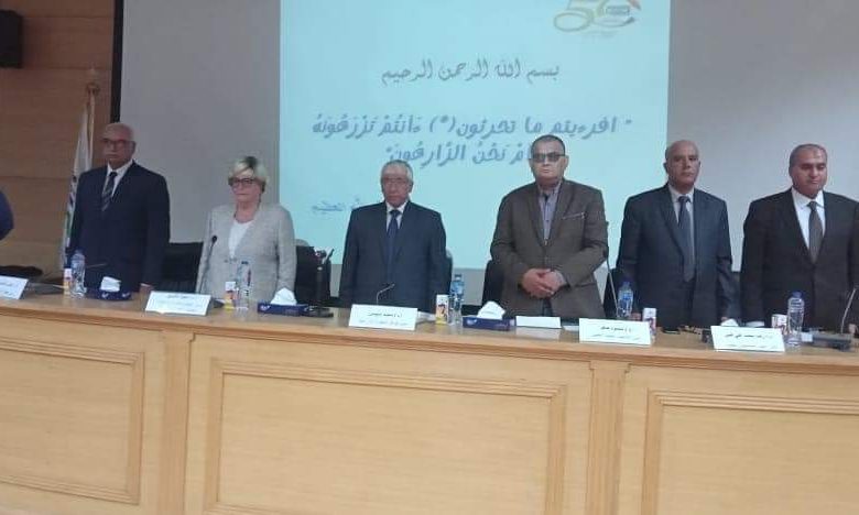 الزراعة تطلق الحملة القومية للقمح وزيادة الحقول الإرشادية لأكثر من 7 آلاف حقل