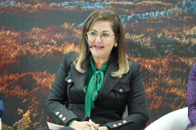 وزيرة التخطيط