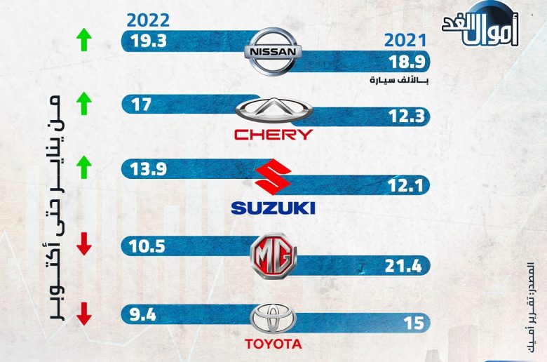 مبيعات سيارات الركوب في مصر