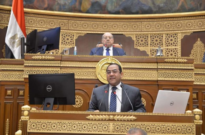 رئيس التنظيم والإدارة يستعرض جهود الجهاز في الإصلاح الإداري بمجلس الشيوخ