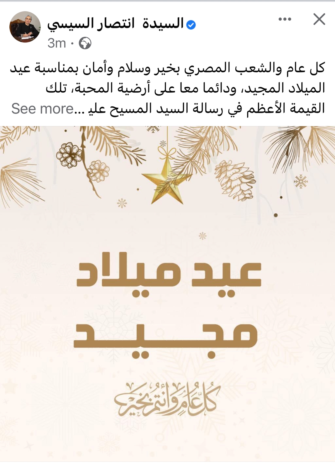 انتصار السيسي