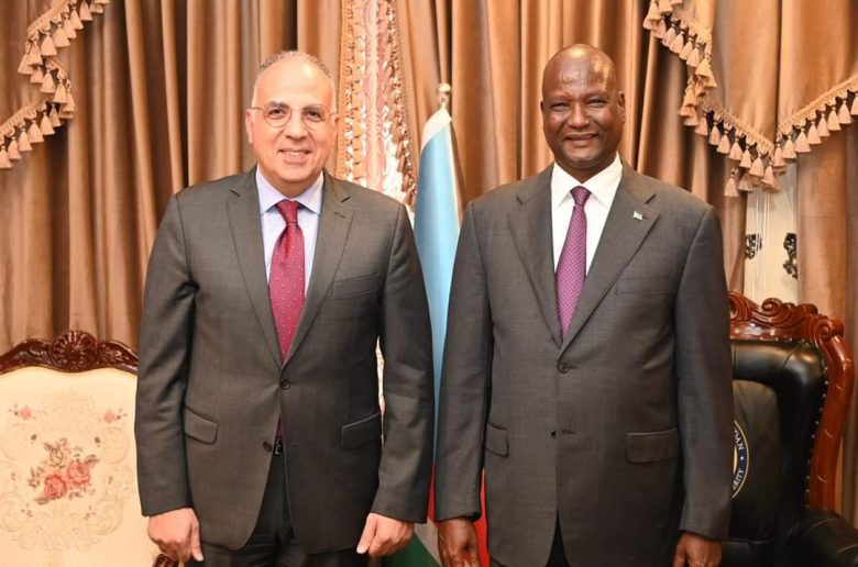 وزير الري: مصر حاضرة دوماً لتنمية جنوب السودان ودعم مواطنيه