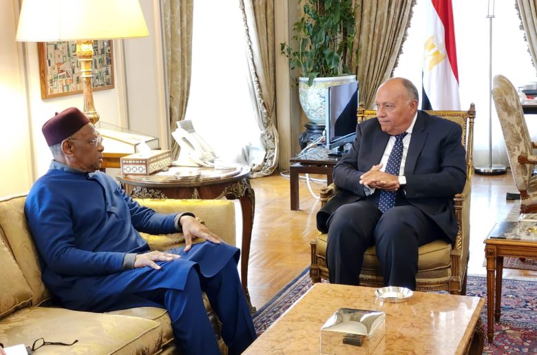 وزيرة الخارجية المصري