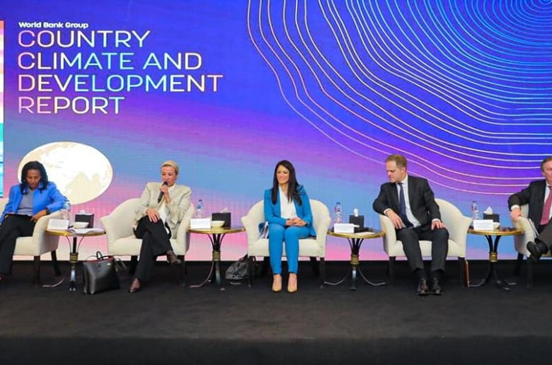 وزيرة التعاون الدولي