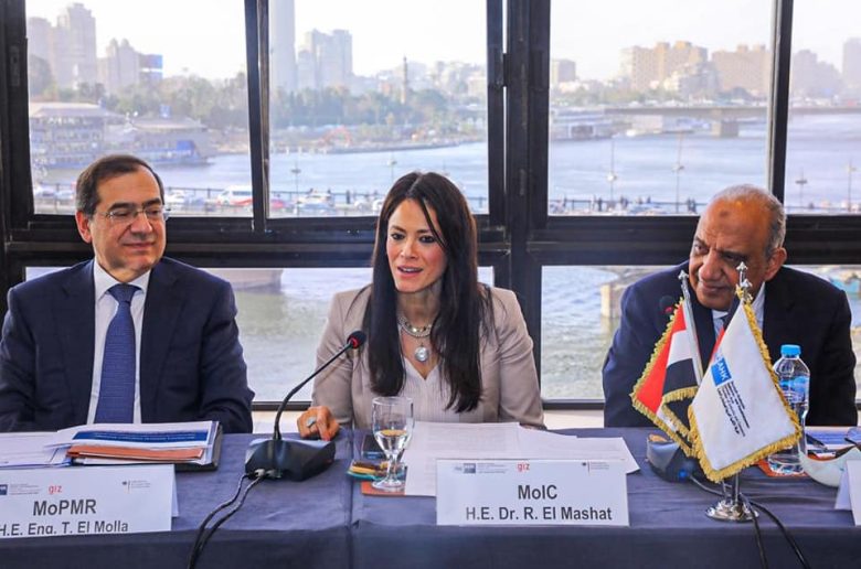 وزيرة التعاون الدولي خلال اجتماع اللجنة