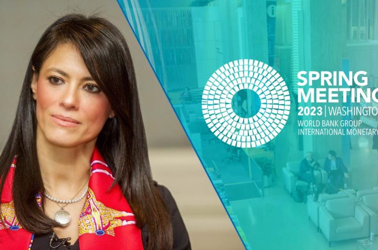 وزيرة التعاون الدولي