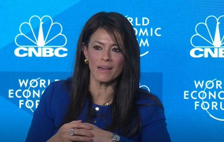 وزيرة التعاون الدولي