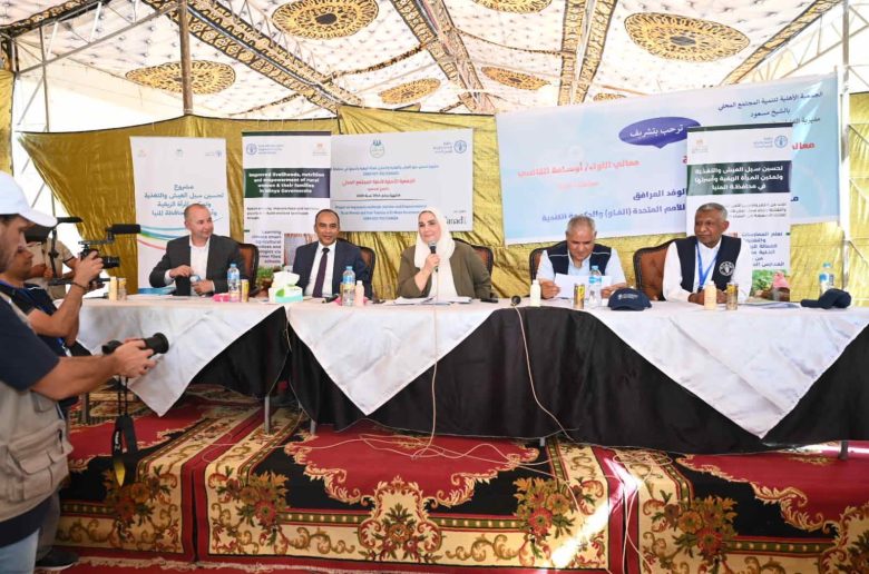 وزيرة التضامن: 3.5 مليار جنيه إجمالي قروض ميسرة لإنشاء مشروعات صغيرة