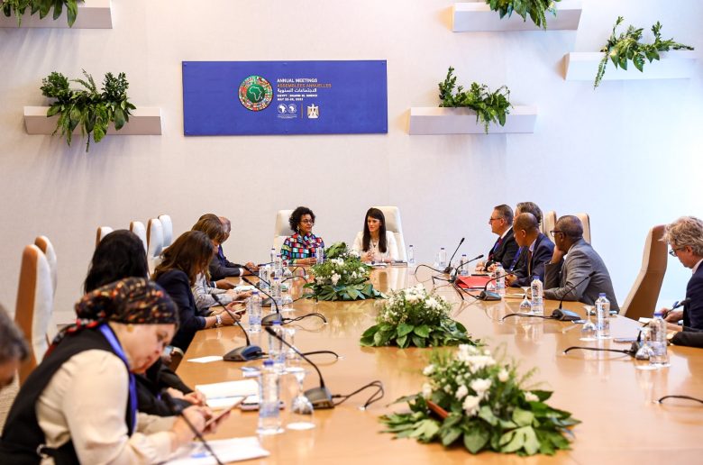 وزيرة التعاون الدولي