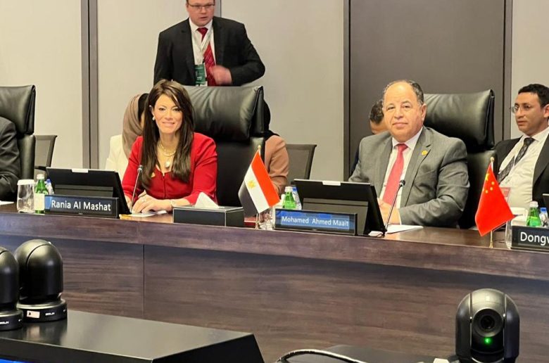 وزيرة التعاون الدولي