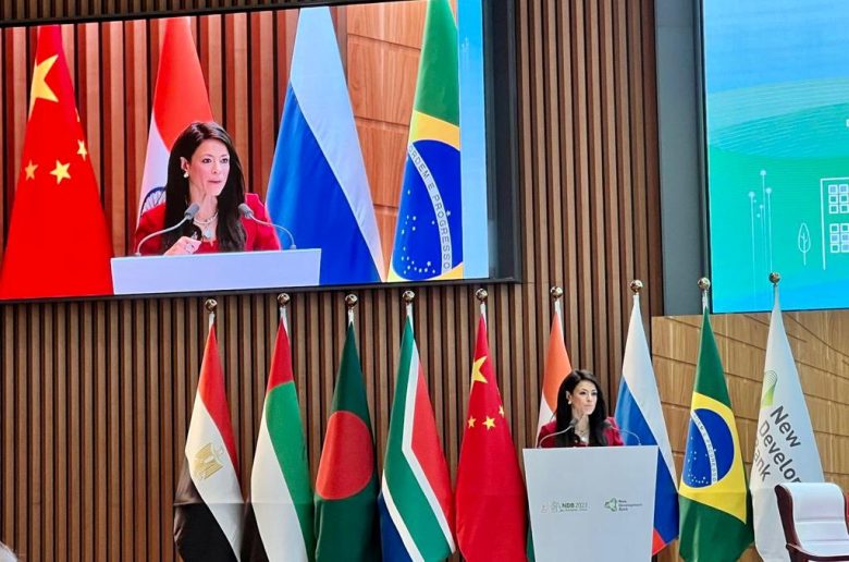 وزيرة التعاون الدولي