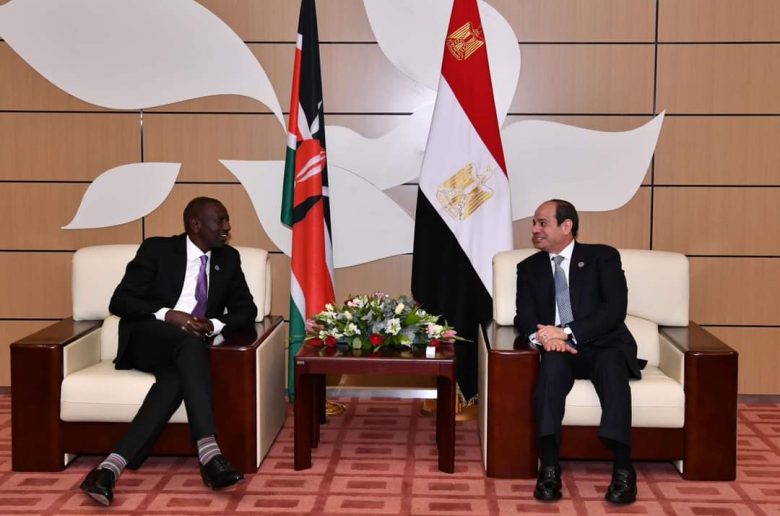 الرئيس السيسي يبحث سبل تعزيز التعاون بين دول حوض النيل مع نظيره الكيني