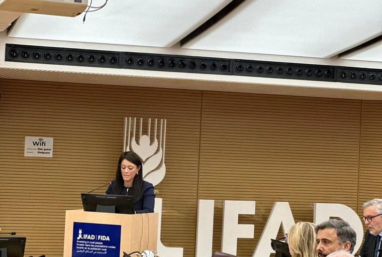 وزيرة التعاون الدولي