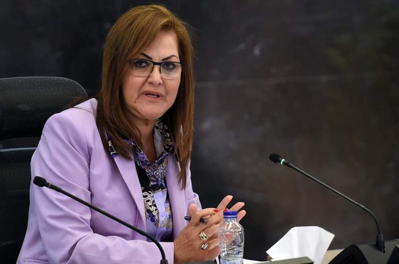 وزيرة التخطيط تستعرض تفاصيل وقيم الطروحات الحكومية خلال الفترة الماضية