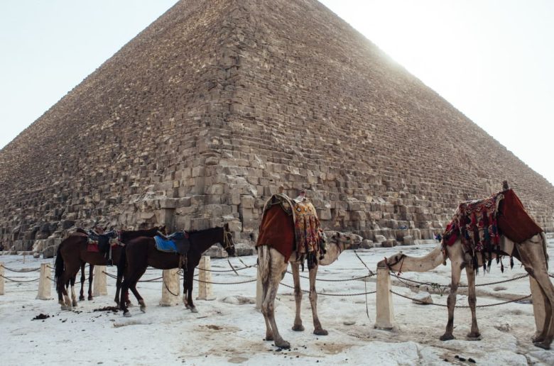 السياحة في مصر