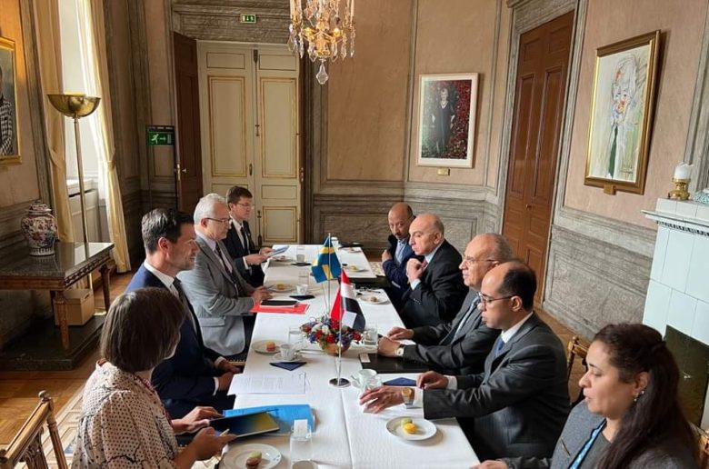 وزير الري يشيد بدعم الوكالة السويدية للتعاون الإنمائي لمصر والدول الإفريقية بمجال المياه