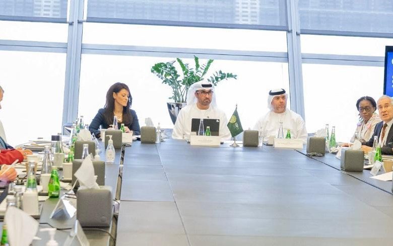 وزيرة التعاون الدولي