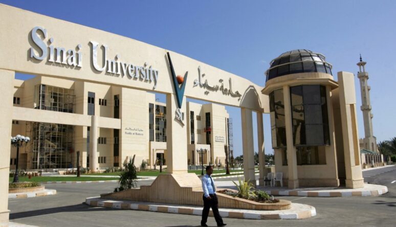 جامعة سيناء